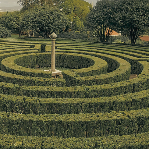 The Path Forward: Predicting the Next 6-12 Month