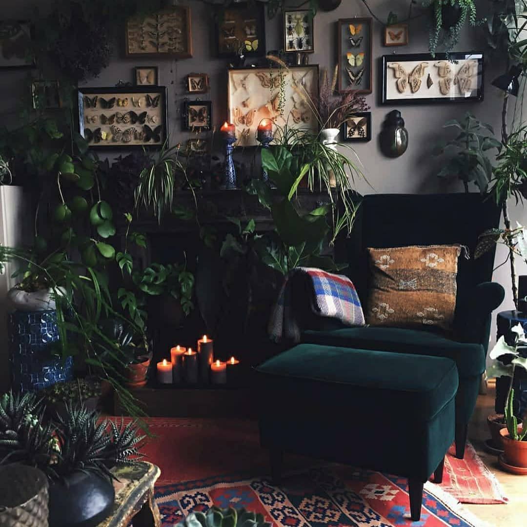 The Salon