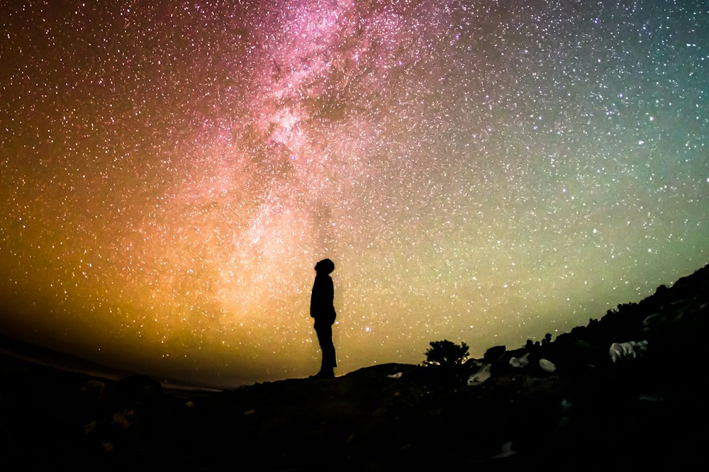 Tiktok Live Mini Session - Predictive